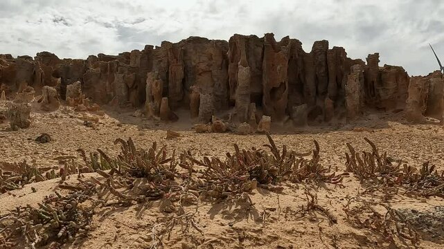 Petrified Forest and Limestone Formations at Cape Bridgewater - Geological Wonders of Discovery Bay Coastal Park, Victoria Australia