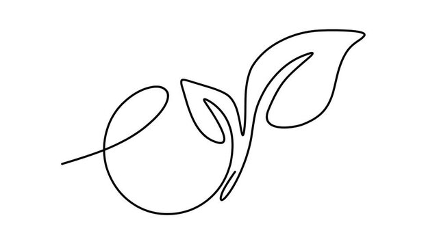 Animated self drawing of continuous line draw plant logo Seedling gardening plants, sprouts. Full length one line animation. 4K	