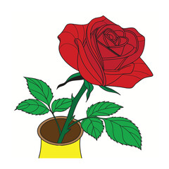 A Red Rose with vector illustration