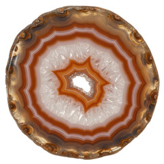 Circular gemstone slice showcasing intricate patterns and colors, with natural light enhancing its beauty