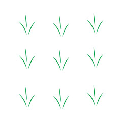 bamboo vector illustration