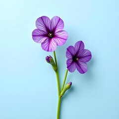 Realistic Purple Flower on Blue Background  AI Generated Floral image
