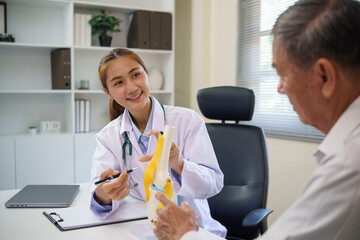 Female doctor explaining knee joint structure to a senior male patient using a medical model.
