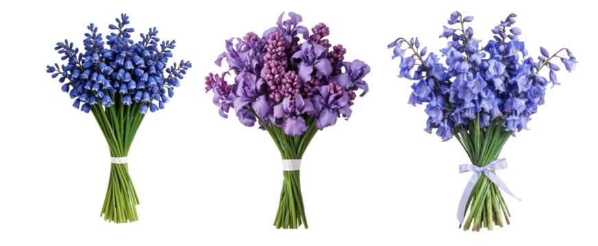 Set of three bouquets: bluebells, irises and stocks in blue and purple on a transparent background.
High-quality isolated set of three bouquets in blue and purple shades. The composition is presented 