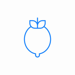 radish vegetable icon sign vector