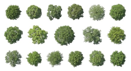 Overhead Shot Showcases A Collection Of Lush Verdant Tree Tops Against A Stark Dark Background