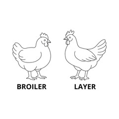 Creative poultry design with farm animals and agricultural elements