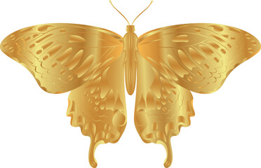 vector butterfly drawings. 3d illustration images.