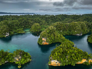 Lush Green Karst Islands and Serene Bays Under a Cloudy Sky in Indonesia