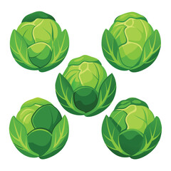 six brussels sprouts vegetable separately set  isolated  on white background