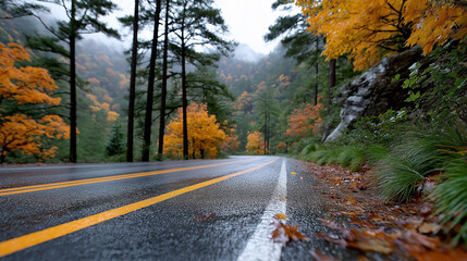 Obraz premium autumn road, fall foliage, seasonal travel, misty forest, winding path, nature exploration, post rain, mountain landscape, golden leaves, peaceful journey, leaf-covered road, tranquil woods, fall seas
