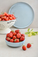 Ripe strawberries in a blue bowl and a white enamel colander full of sweet cherries
