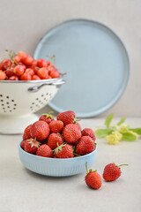 Ripe strawberries in a blue bowl and a white enamel colander full of sweet cherries