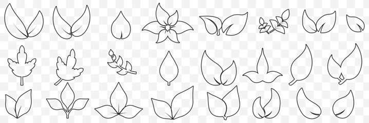 set of Black line leaf icons on Transparent Background. EPS 10.
