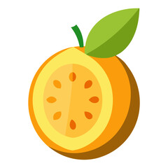 vector illustration of an orange