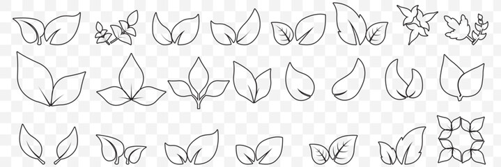 set of Black line leaf icons on Transparent Background. EPS 10.