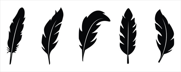 Feather Silhouette Vector Collection – Black Ornamental Feathers on White Background
