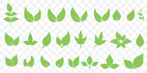 Green leaf icons set. Leaves icon on isolated Transparent background. Collection green leaf. Elements design for natural, eco, vegan, bio labels. Vector illustration EPS 10