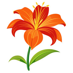 orange tiger lily