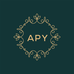 APY logo design vector template