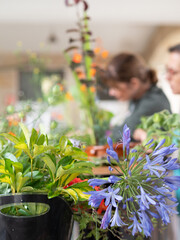 Florists creating ikebana arrangements during workshop