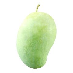 Mango fruit on white background