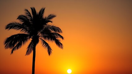 Single tropical palm tree silhouette against sunset sky with warm golden hour lighting and minimalistic composition.