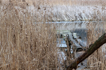 The river is overgrown with reeds, in the center of the frame a old fishing bridge. dry reeds on...