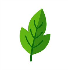 Leafs Clipart Vector on White Background