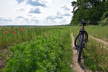 bike stands on the road in the field. A mountain bike stands on a field path with green grass. Mountain bike. wheat field, sunny day. ride a bike. active outdoor recreation. trip to the countryside