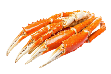 Steamed crab legs feature vibrant orange color with a succulent appearance perfect for seafood dishes or gourmet meals especially enjoyed in coastal locations