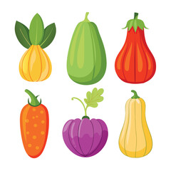 six gem squash vegetable separately set  isolated  on white background