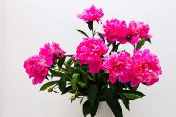 Bright pink peonies arranged in a vase against a neutral background