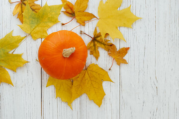 Colorful autumn arrangement featuring a pumpkin and vibrant leaves on a wooden surface