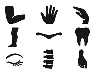 Obraz premium Anatomy, medical silhouette icon set. body parts, healthcare icons silhouette collection