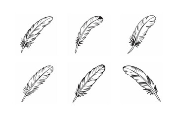 Obraz premium line art of bird feather bundle on the white background