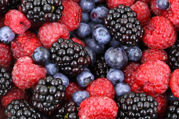 blackberries and raspberries. the image generated by AI