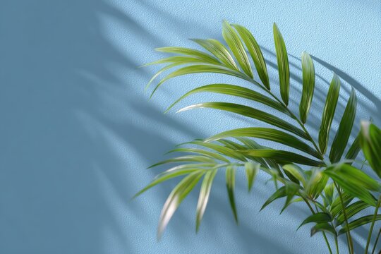 Green plant with palmlike leaves casting shadows on a textured light blue wall