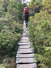 Woman Walking with a Backpack along a Wooden Path on the West Coast Trail, B.C. Canada