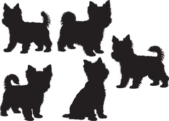 Yorkshire terrier silhouette vector illustration