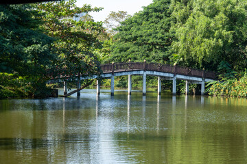 Fototapeta premium Wooden bridge over the pond in the park.