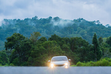 A car with light on the road and fog in the morning time.The forest mist landscape and green forest...
