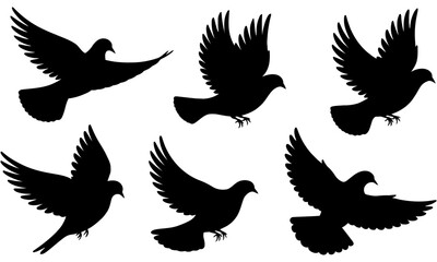 Silhouettes of doves in flight pattern