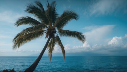 Tropical palm tree leaning over the ocean with a sky filled with clouds and blue hues.