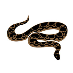 Stylized Snake Vector Illustration