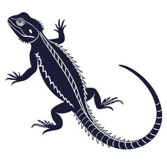 silhouette spiny tailed lizard on white background