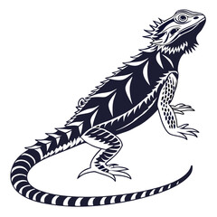 silhouette spiny tailed lizard on white background
