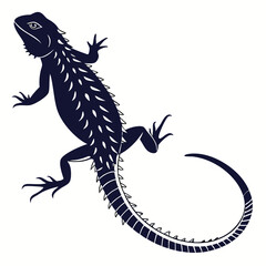 silhouette spiny tailed lizard on white background