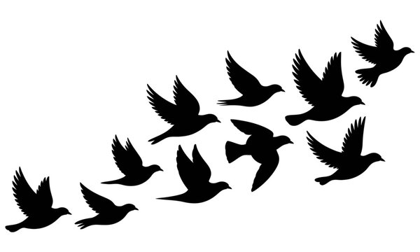 Silhouettes of doves in flight pattern