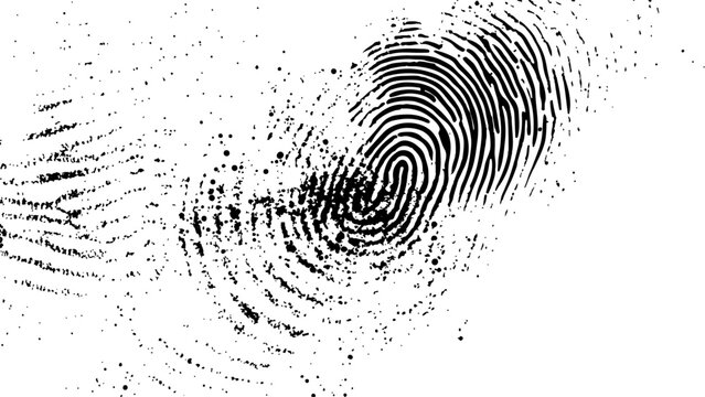  Vector white and black fingerprint texture. Black fingerprint on white transparent background.	